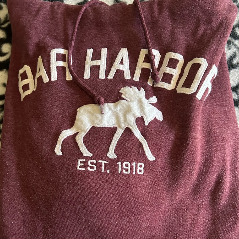 Bar Harbor, Maine Hoodie